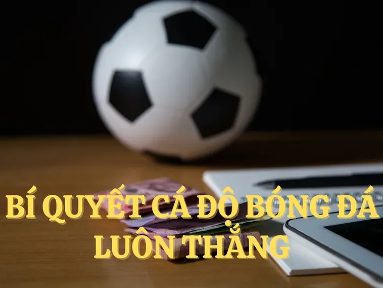 Cá Cược Bóng Đá EE88 Đỉnh Cao Giải Trí Kịch Tính Nhất 2025 2 Cá Cược Bóng Đá EE88 Đỉnh Cao Giải Trí Kịch Tính Nhất 2025