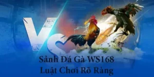 Bí Quyết Thắng Lớn Với Đá Gà WS168 Tại EE88 Đỉnh Cao Giải Trí