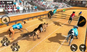 Hướng Dẫn Chơi Game Nhanh Đua Chó Tại EE88 Thắng Lớn Kịch Tính