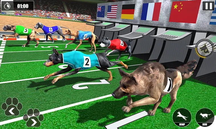 Hướng Dẫn Chơi Game Nhanh Đua Chó Tại EE88 Thắng Lớn Kịch Tính 2 Hướng Dẫn Chơi Game Nhanh Đua Chó Tại EE88 Thắng Lớn Kịch Tính