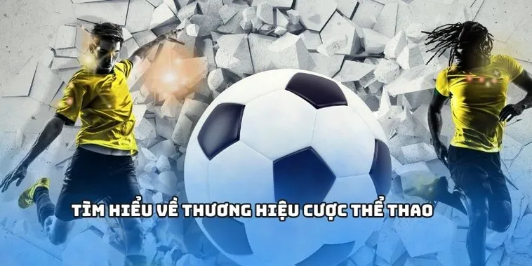 Thể Thao EE88 Thiên Đường Cá Cược Đỉnh Cao Hấp Dẫn Nhất 2025
